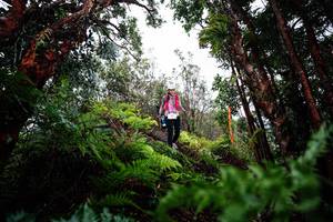 BIB: 
                            <button type="button" onclick="openModal(26204647)" class="btn btn-primary btn-sm float-right btn-popup" data-toggle="modal" data-target=".modal-high-quality">
                        <i class="fas fa-shopping-cart"></i> Add to Cart
                    </button>
                                            <button type="button" onclick="isThisMe(26204647, true)" class="btn btn-success btn-sm float-right btn-popup btn-isme hidden" data-toggle="tooltip" data-placement="bottom" title="นี่คือรูปของคุณใช่ไหม คลิกที่นี่เพื่อเอาเข้าอัลบั้ม">
                        <i class="fas fa-plus"></i> Add to album
                    </button>
                    <button type="button" onclick="isThisMe(26204647, false)" class="btn btn-warning btn-sm float-right btn-popup btn-isnotme hidden">
                        <i class="fas fa-ban"></i> Remove from album
                    </button>